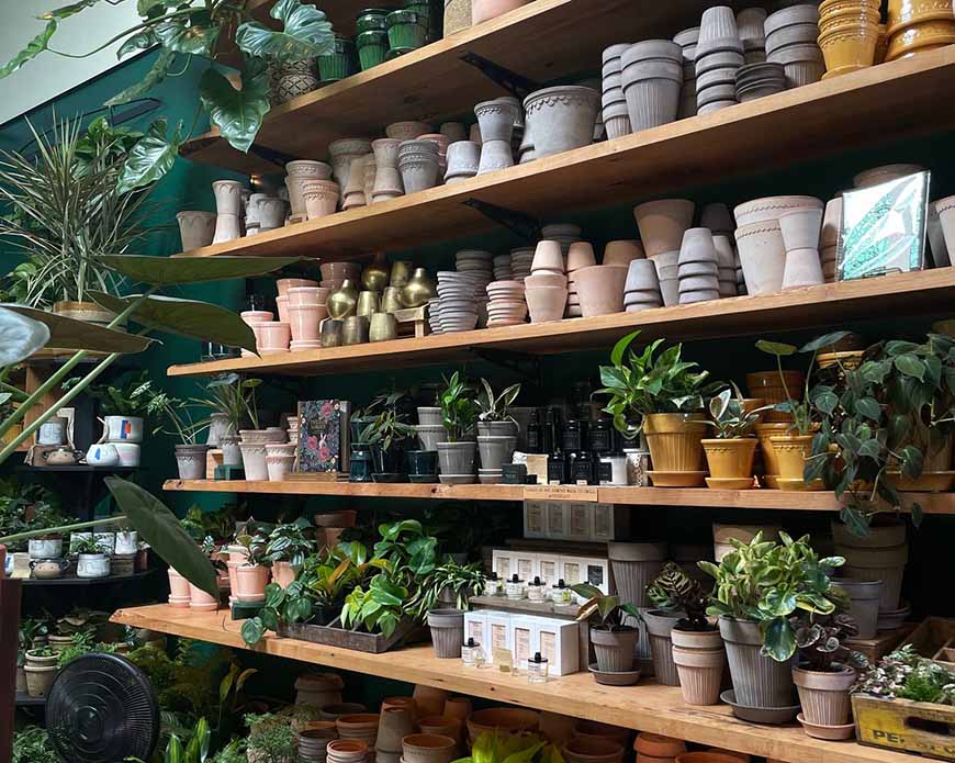 Oakland Souvenir Guide: Perfect for Gifting or Keeping